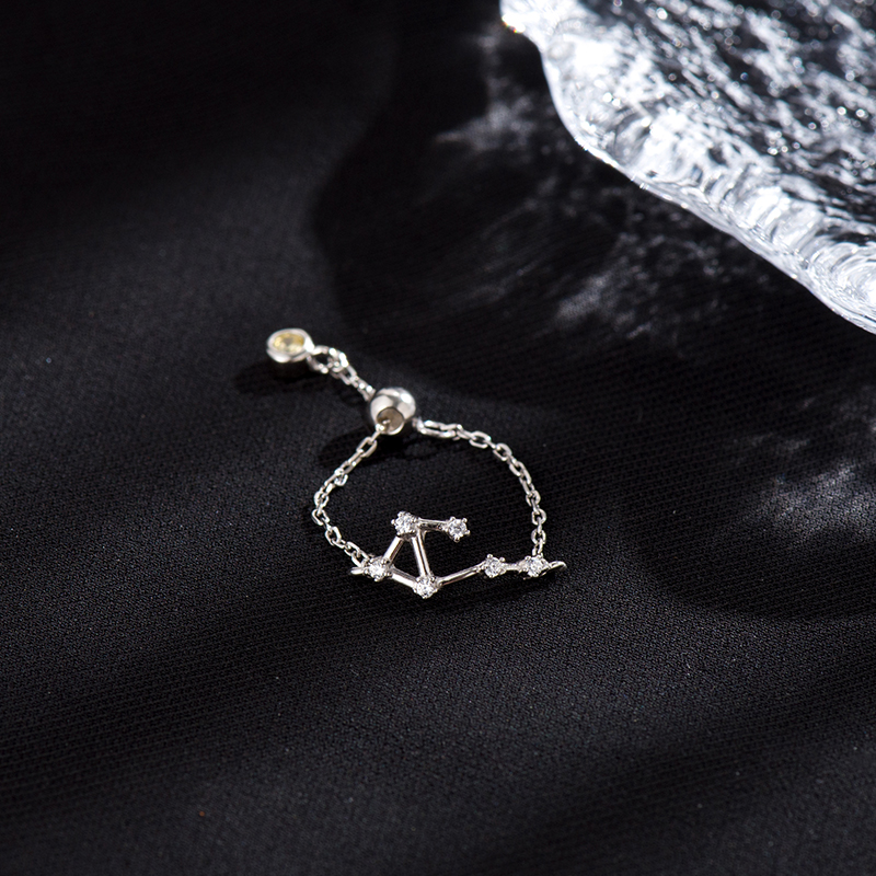 十二星座戒指 | 純銀S925復古素圈指環