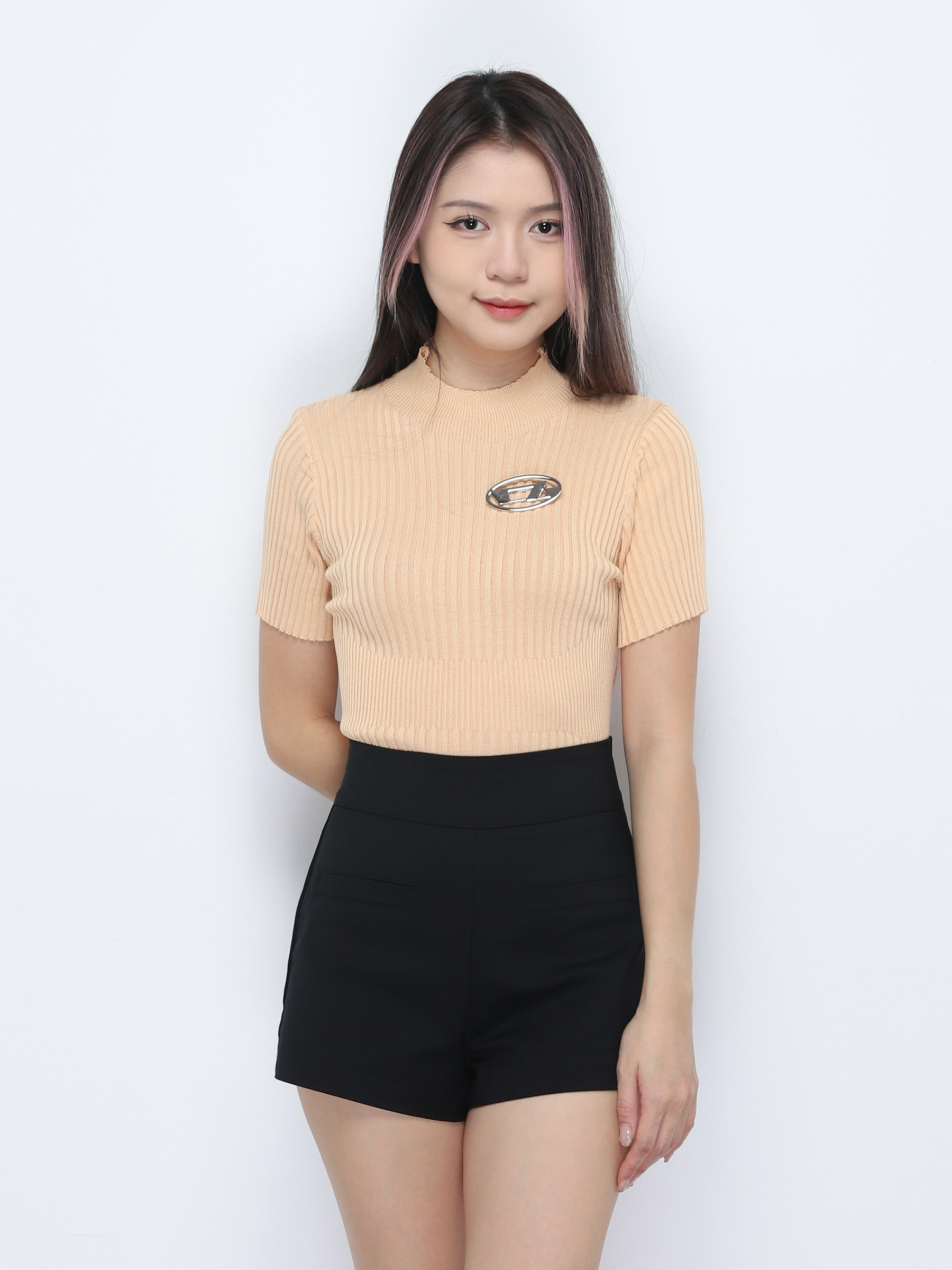 Knitted With Turtle Neck Top 34206