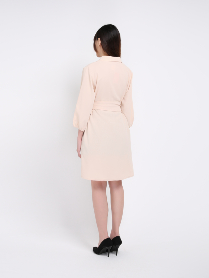 Korean Style Blouse Dress 19368