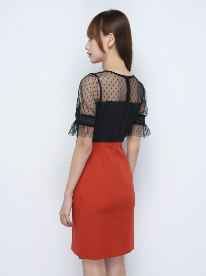 Two Tone Front Decorative Button Dress 19546