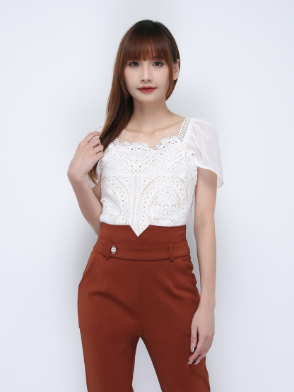 Transparent Sleeve With Lace Top 21737