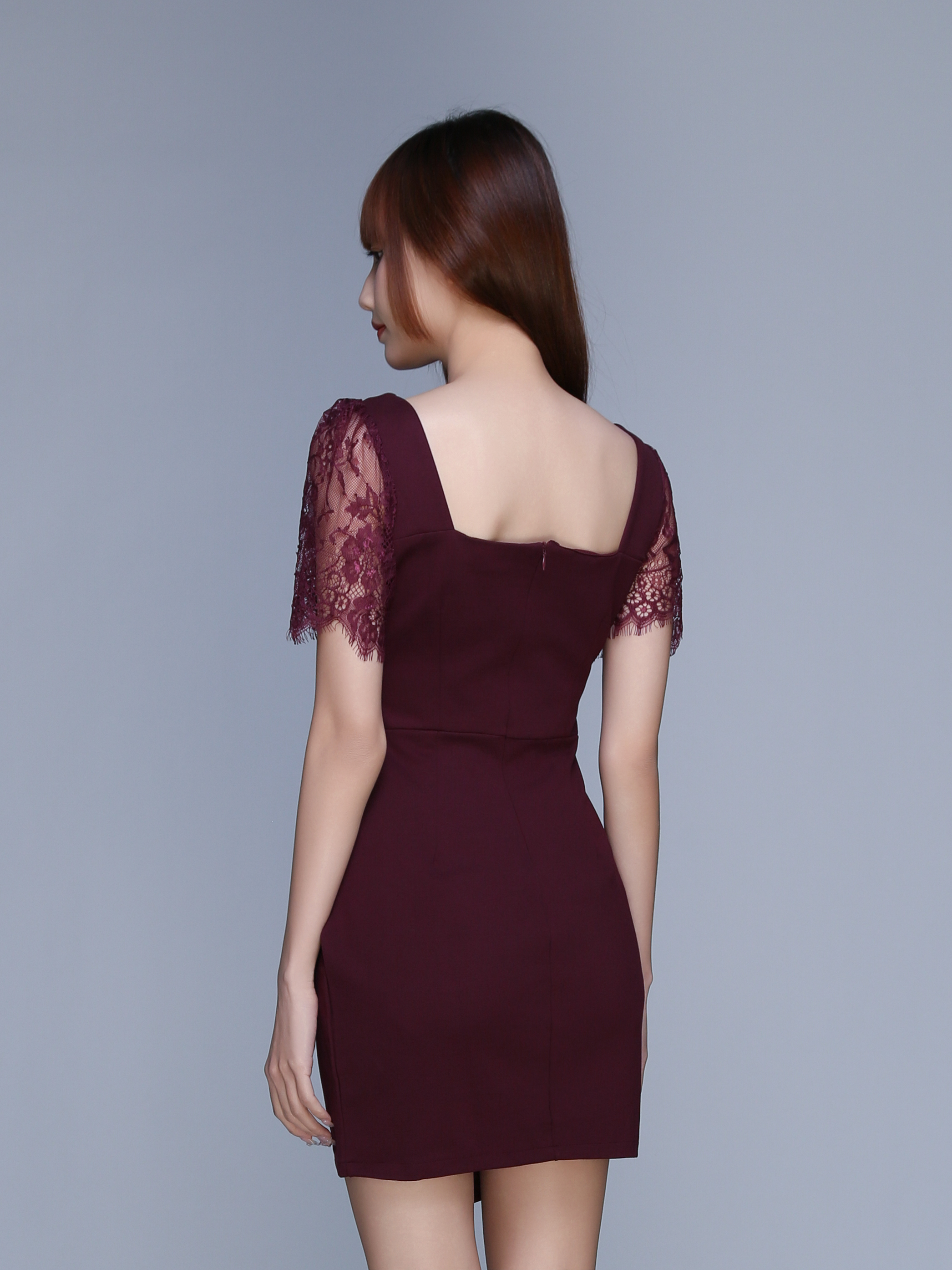 Short Lace Sleeve Pleated Dress 22724