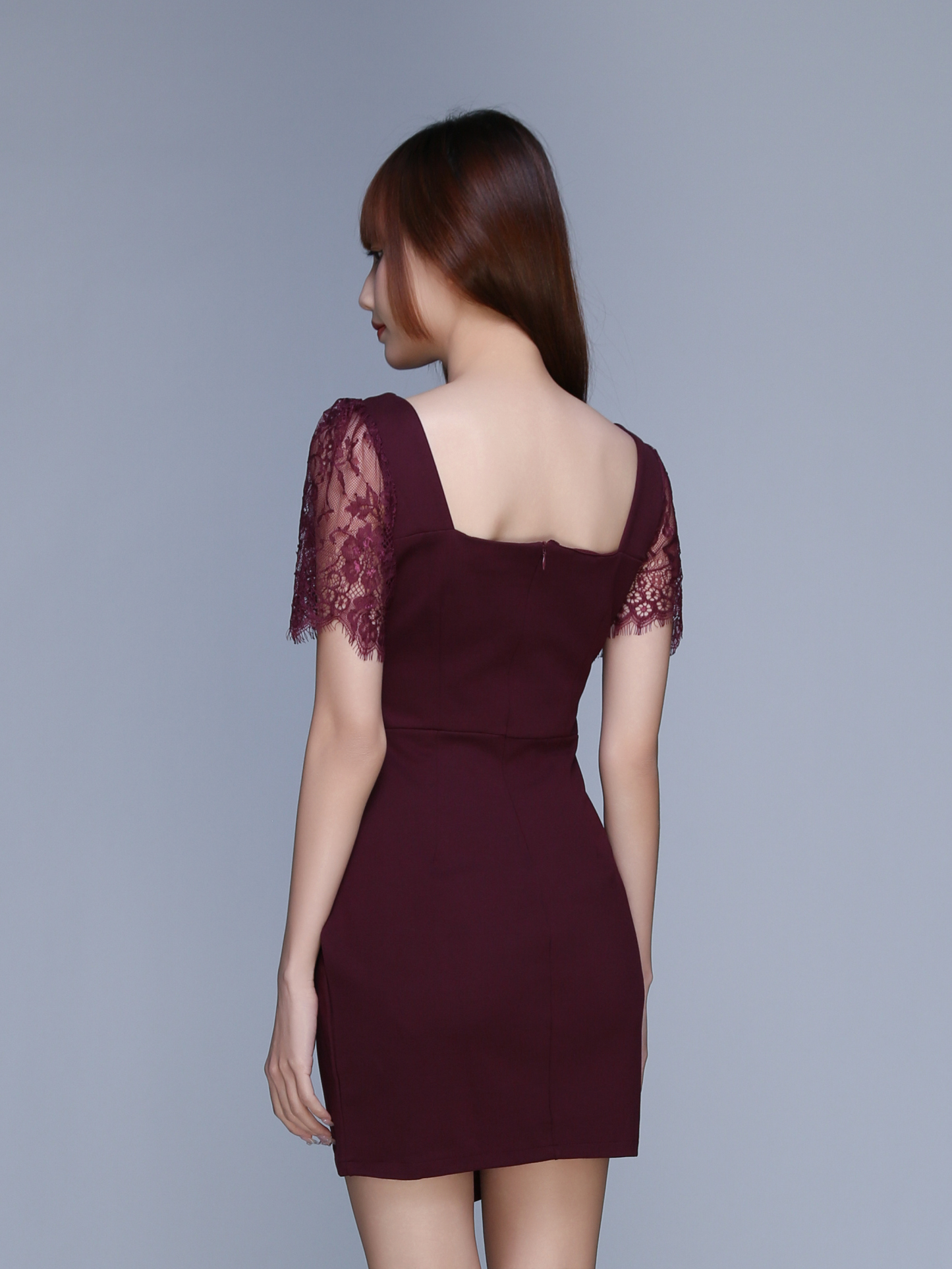 Short Lace Sleeve Pleated Dress 22724