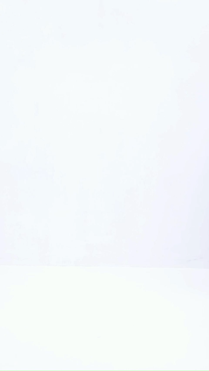 High Waist Mesh Skirt AC166