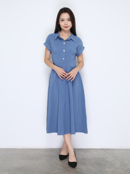 Sleeveless Back Zip Front Button Dress 38022