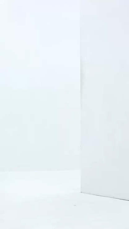 Elegant Layered Short Pants AC264