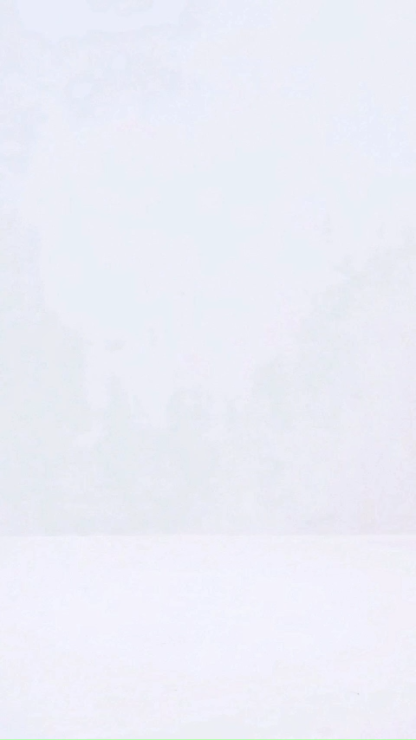 Sleeveless Front Button Blouse AC173