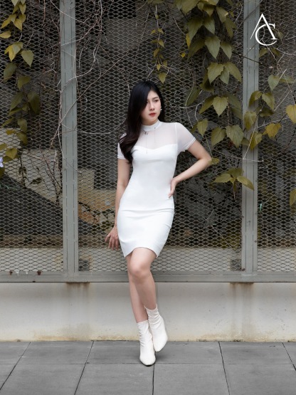 Net Shoulder Short Sleeve Dress AC615