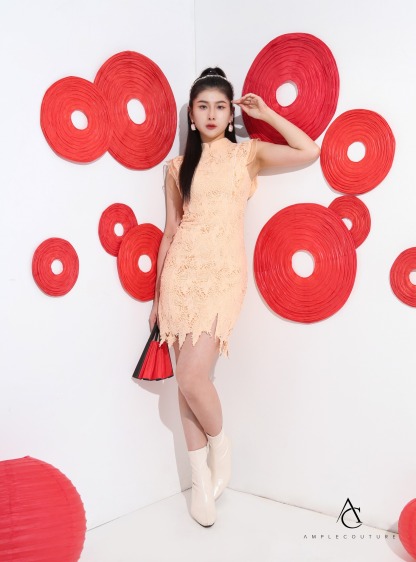 Lace Sleeveless Back Zip Dress AC809