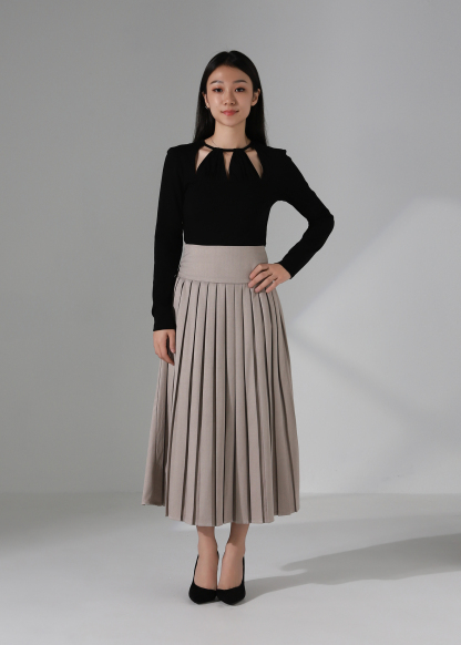 High Waist Pleated Skirt AC865