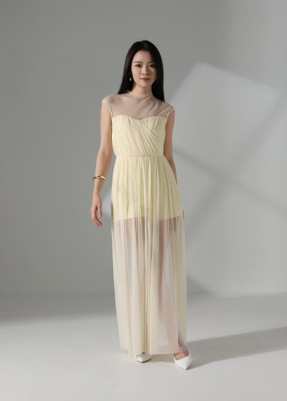 Elegant Wear Net Dress ACX14