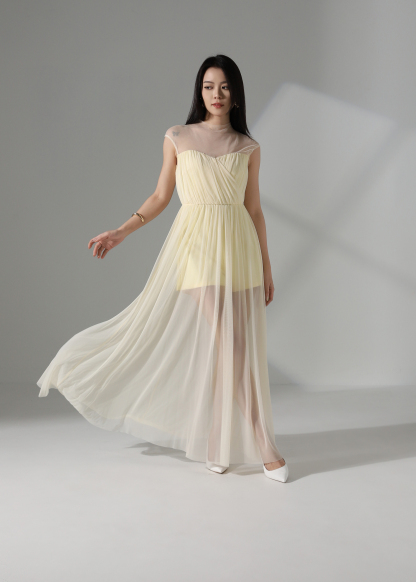 Elegant Wear Net Dress ACX14