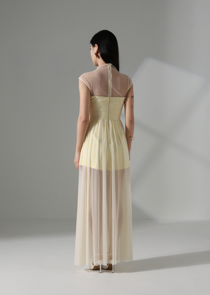 Elegant Wear Net Dress ACX14