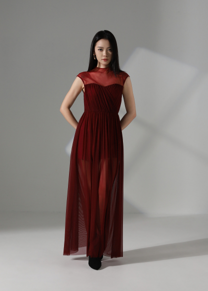 Elegant Wear Net Dress ACX14