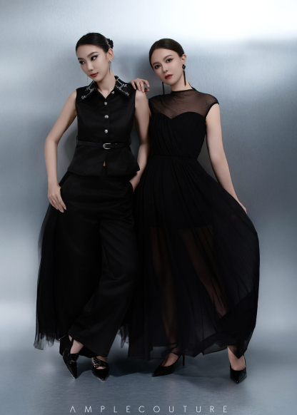 Elegant Wear Net Dress ACX14