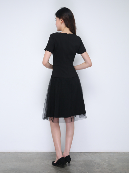 Short Sleeve Back Zip Dress 36313