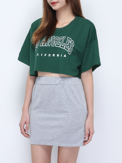Casual Crop Top With Skirt Set 21890