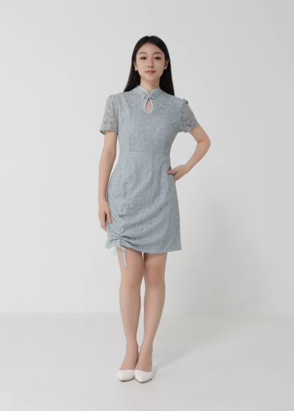 Short Sleeve Back Zip Dress 30296