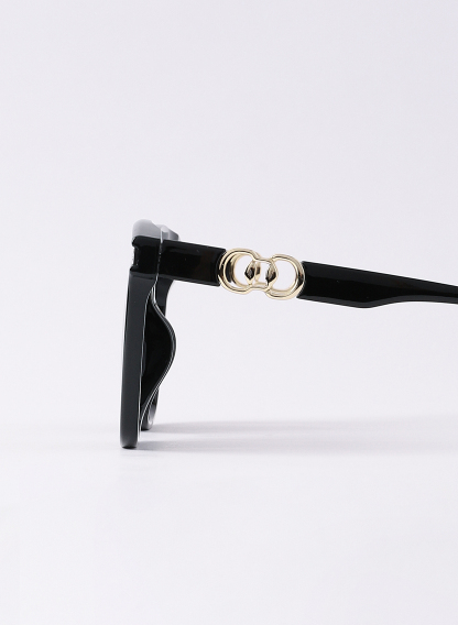 SUNGLASSES SP3575