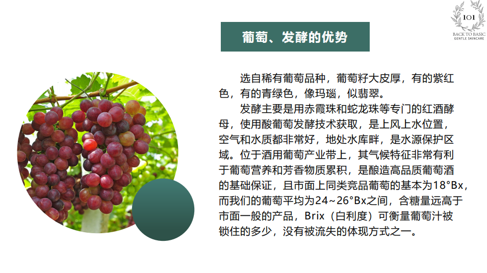 TULIP ENZYME MASK YB01