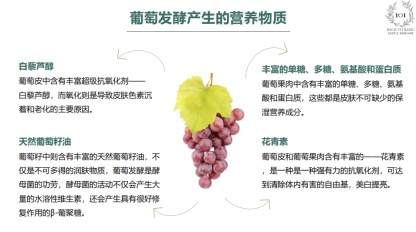 TULIP ENZYME MASK YB01