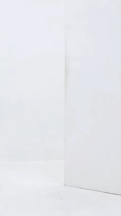 Fake Two Piece Collar Front Zip Top AC959