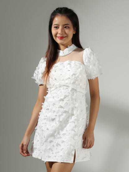 Decorative Butterfly Dress AC810
