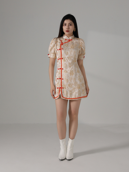 New Year Wear Dress AC862