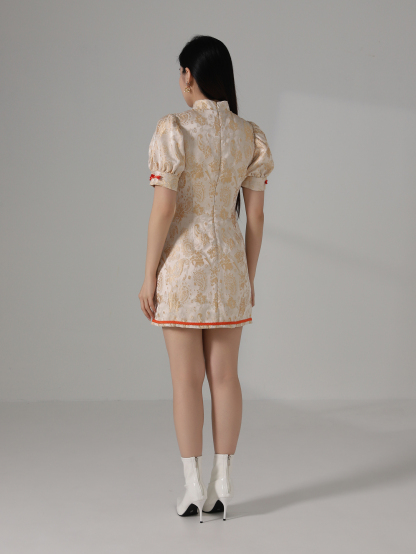 New Year Wear Dress AC862