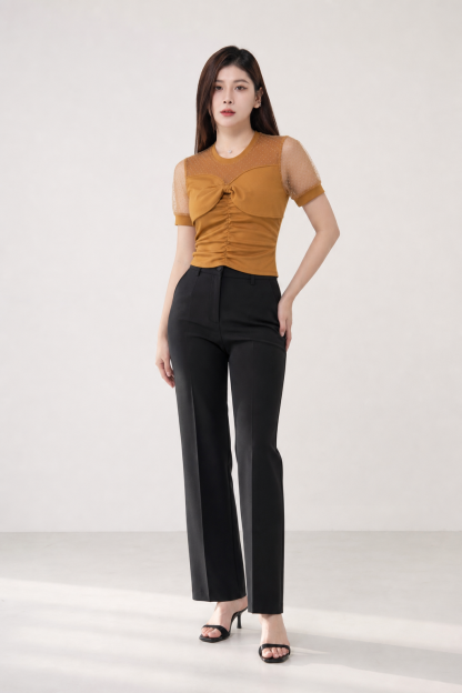 Polka Dot Transparent Sleeve Top 15379