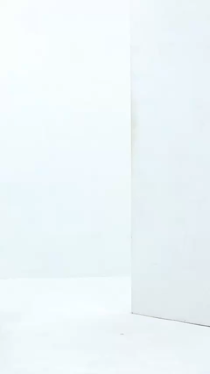 Sleeveless Front Zip Top AC954