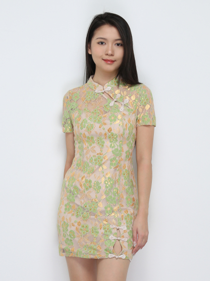 Short Sleeve Back Zip Dress 30819