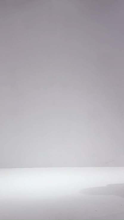Elegant Wear Bling Top AC180
