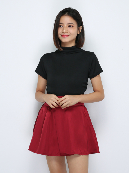 Satin Skirt Pants 33948