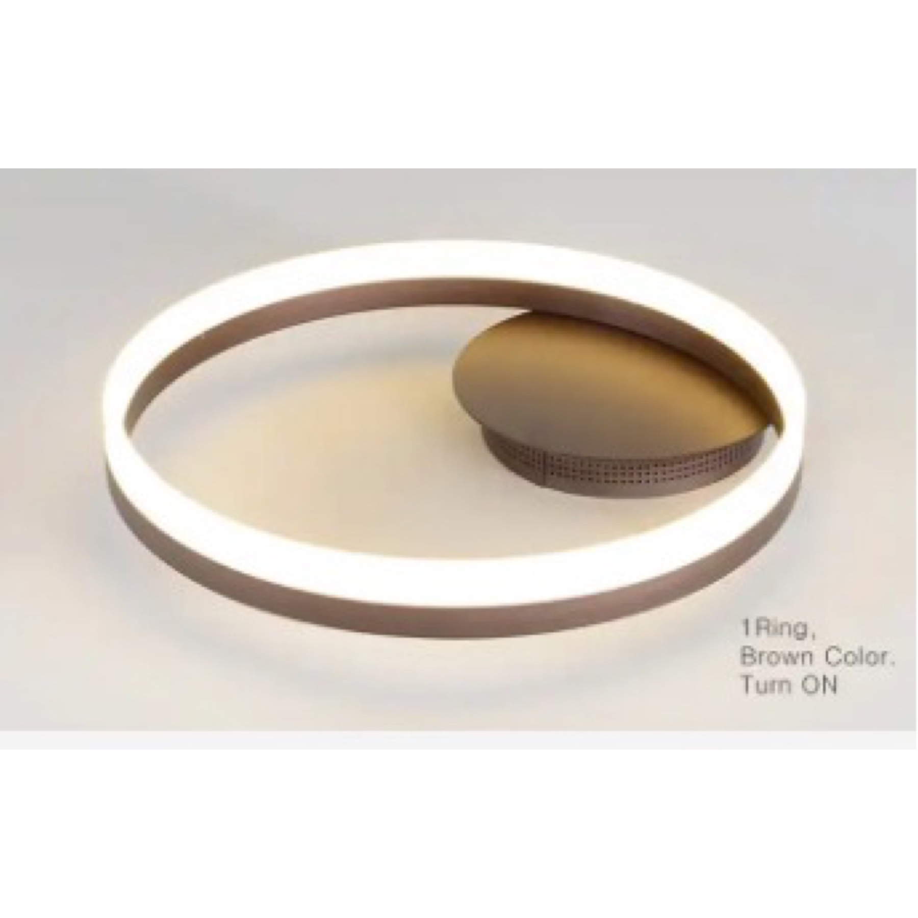 TR80288 Ringer Ceiling Lamp