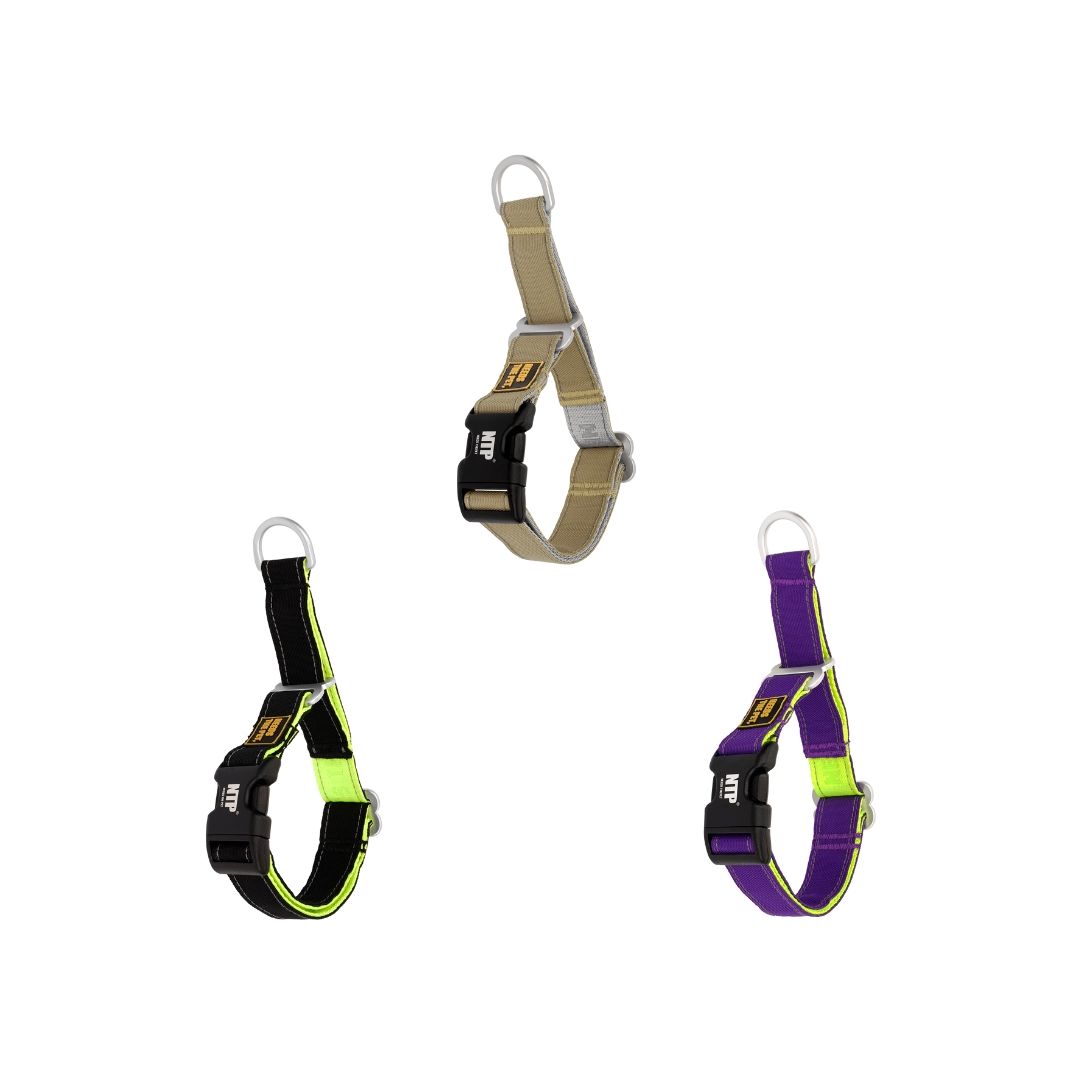 Buckle Martingale Collar