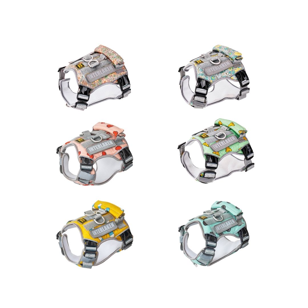 INTERLAKEN No-Pull Air Mesh Harness