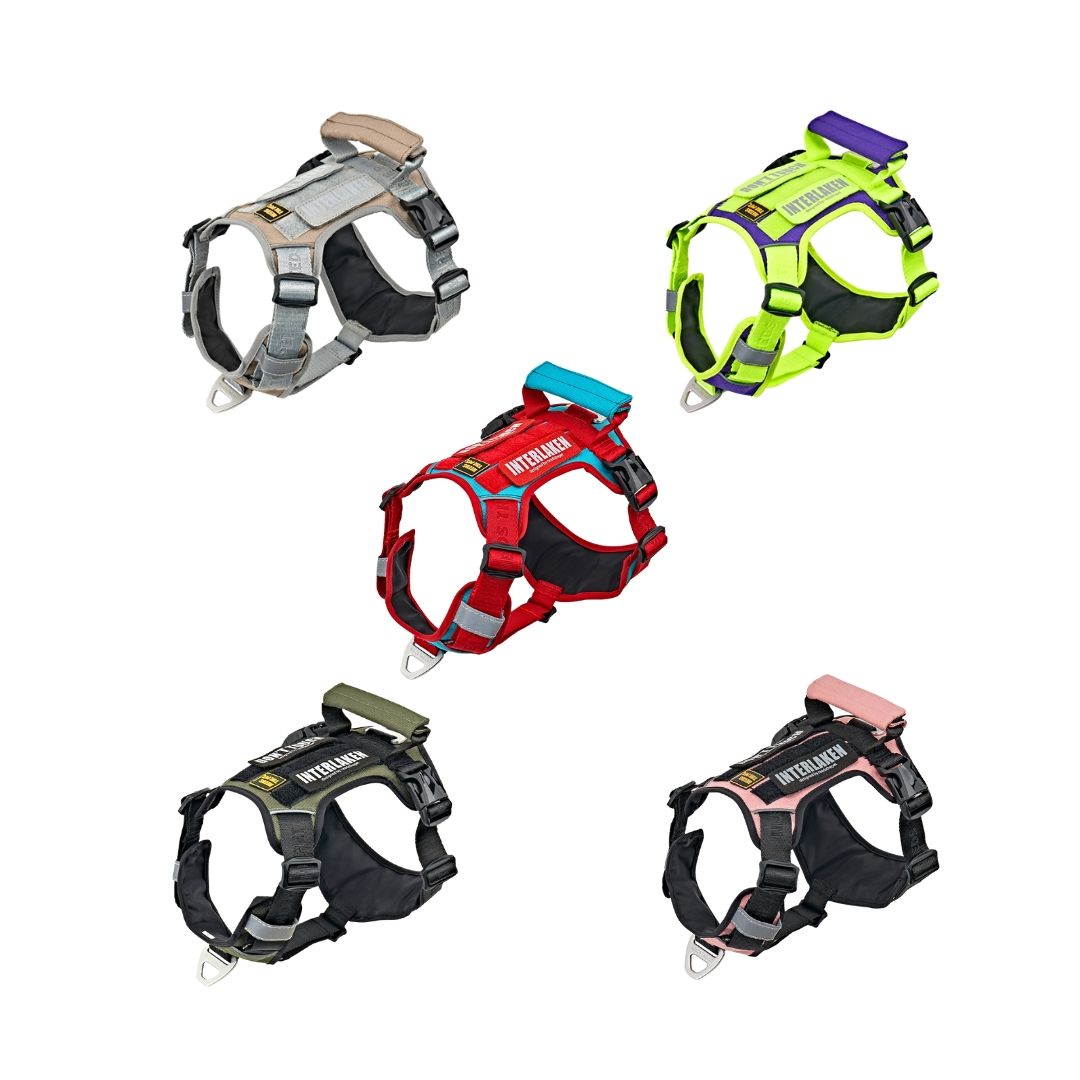 INTERLAKEN No-Pull Slim Harness