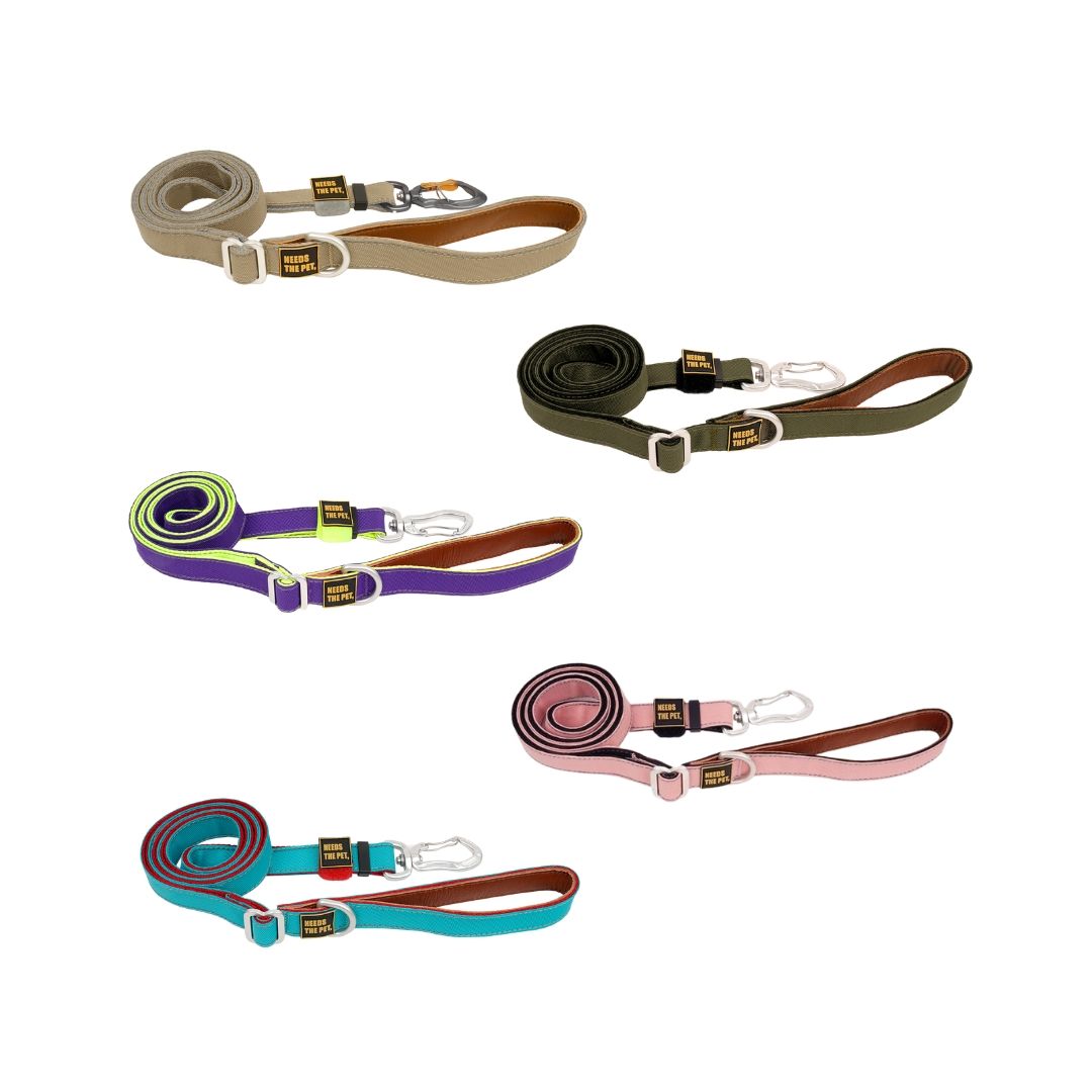 INTERLAKEN Slim Leash