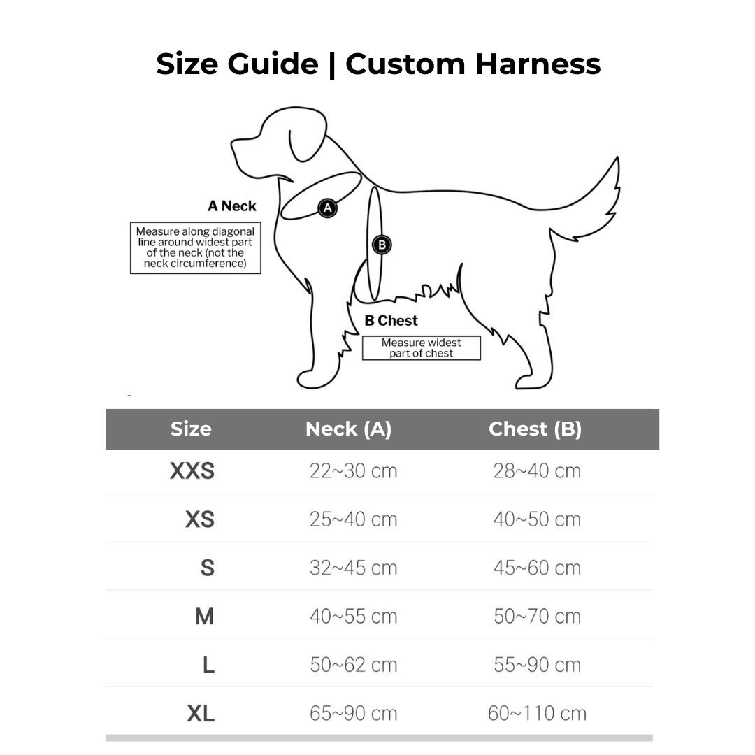 INTERLAKEN No-Pull Custom Harness