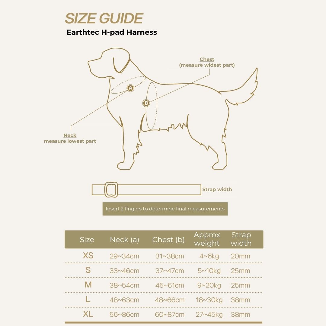 INTERLAKEN No-Pull Padded H-Harness