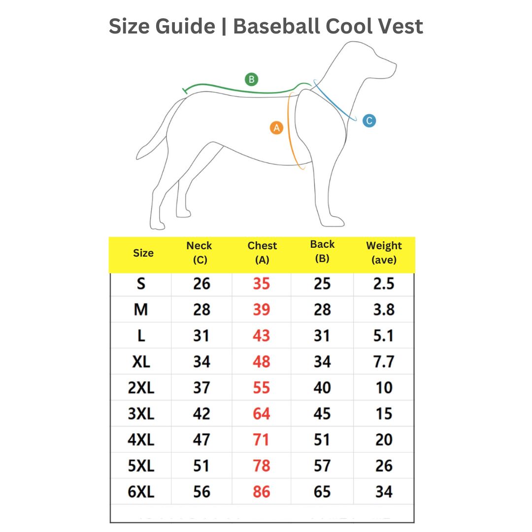 Baseball Cool Vest | Sun Protection