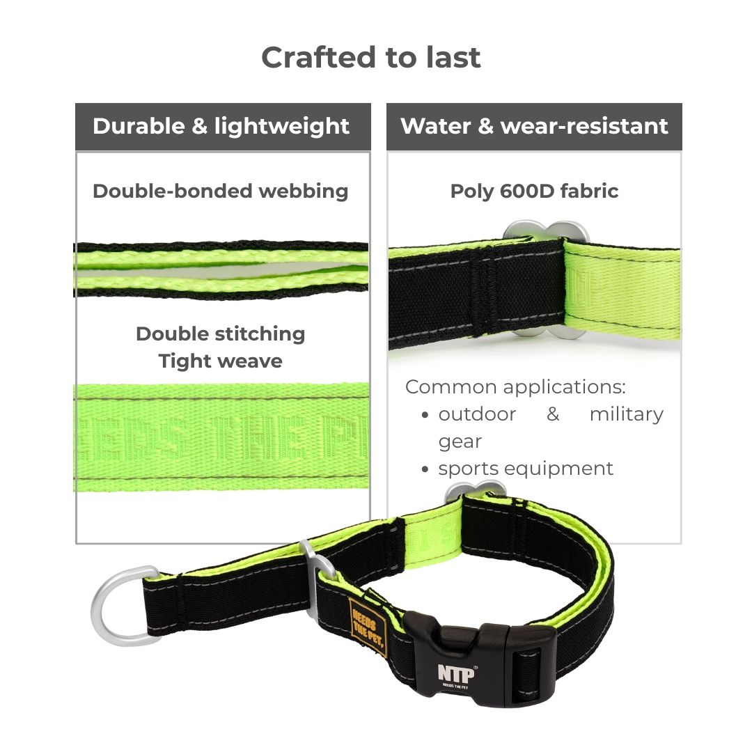 Buckle Martingale Collar