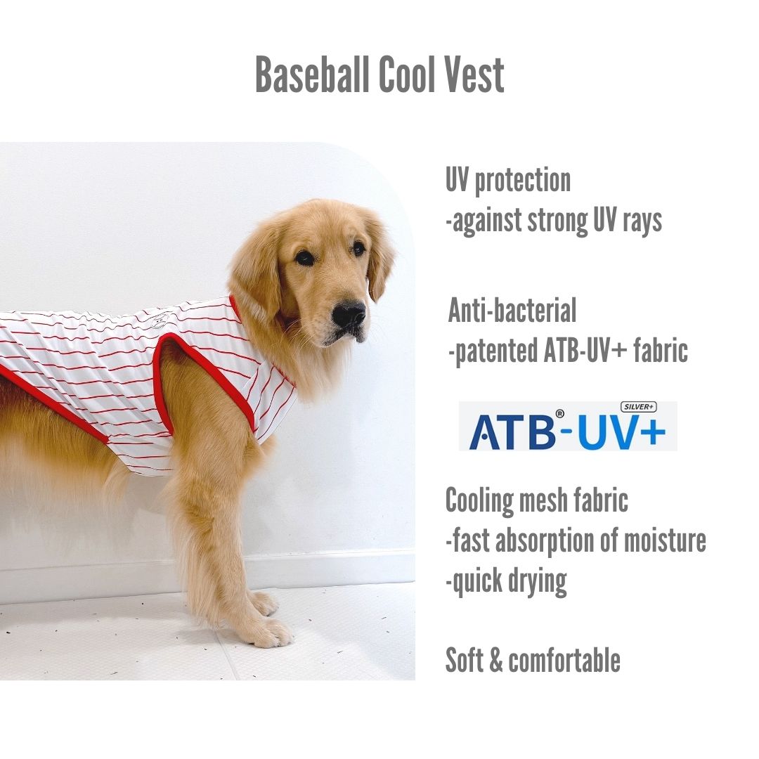 Baseball Cool Vest | Sun Protection
