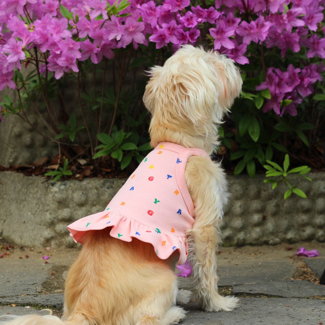 Alphabet Tank Dress