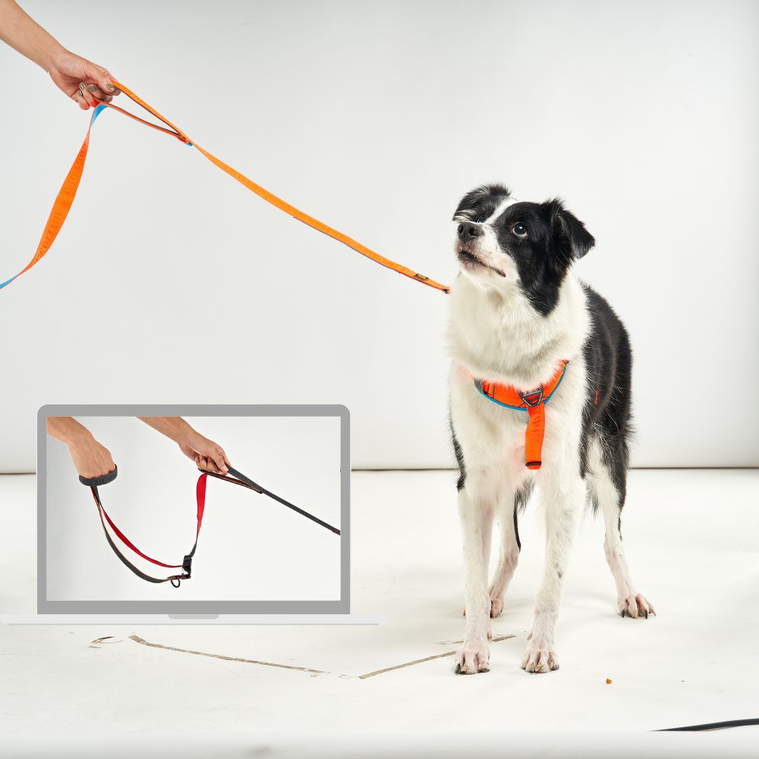 INTERLAKEN Handsfree Grip Leash 2.0m