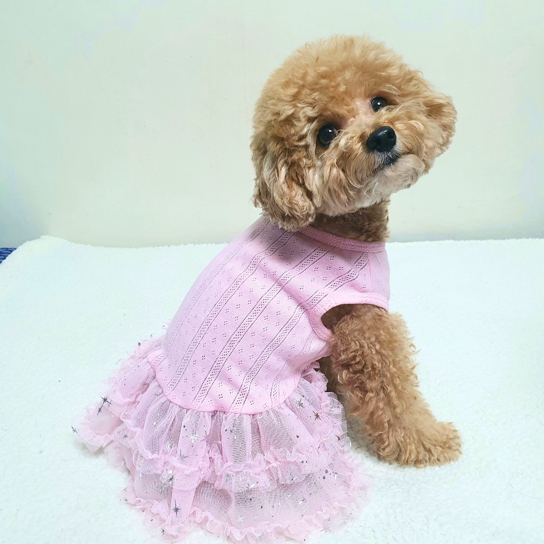 Star Tutu Dress