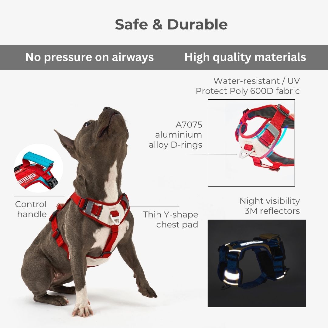 INTERLAKEN No-Pull Slim Harness