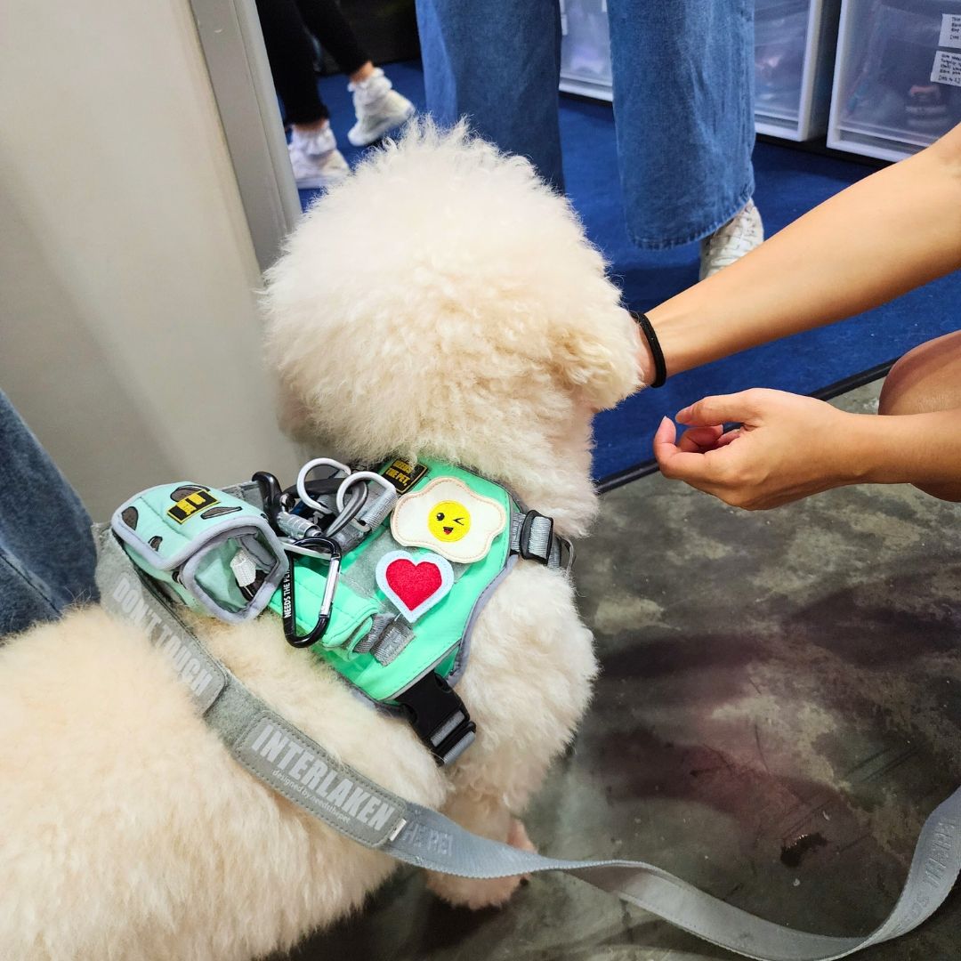 Custom Patch Series A