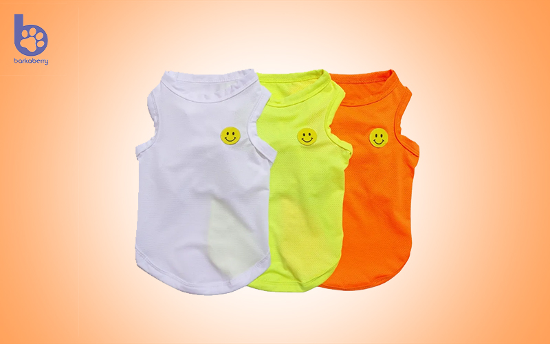 5 Qualities of a Good Dog Accessory Shop Barkaberry